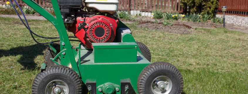 Why Aerate Your Lawn