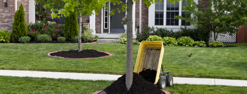 How long does mulch last?