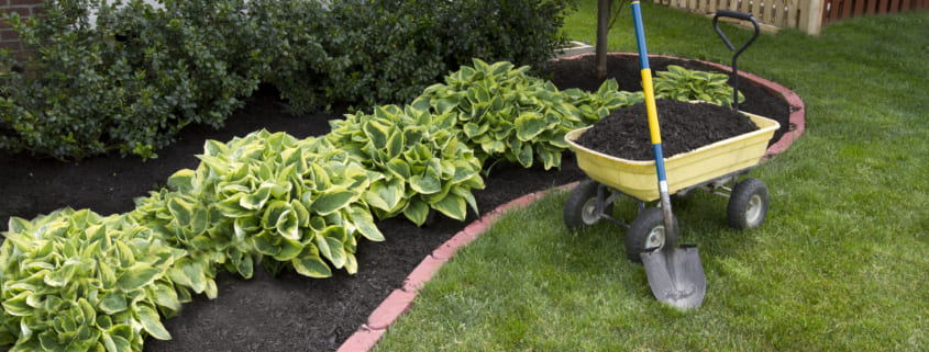 What is the best type of mulch for landscaping?