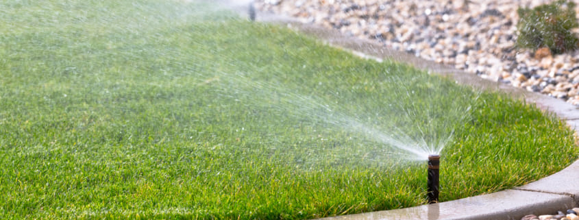 The Homeowner’s Guide to Landscape Irrigation