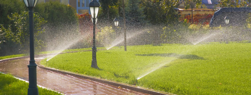 4 Reasons to Avoid Overwatering Your Lawn