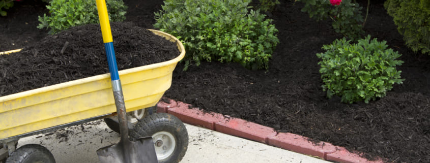 Best Mulch Material for Commercial Property