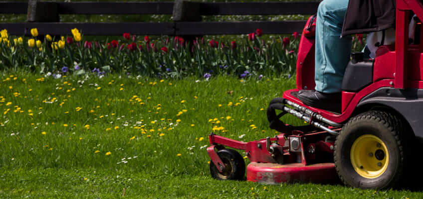 Is Your Grounds Management Provider Reliable?