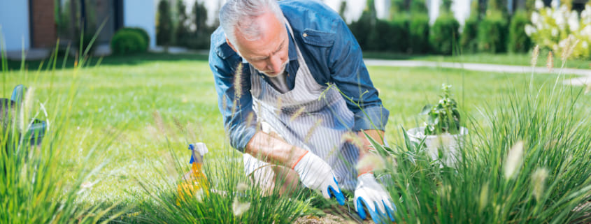 Ten Reasons to Hire Professional Weed Control Service