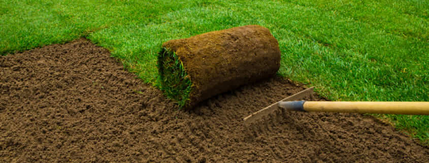 The Landscaping Benefits Of Installing Sod