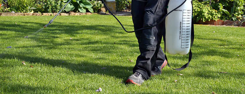 Best Practices for Pest Control in Your Pennsylvania Lawn and Landscape