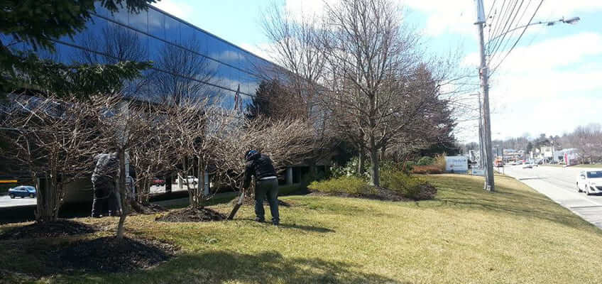 Commercial Lawn Care in Malvern, PA