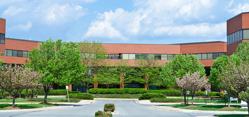 Commercial Landscaping Services For Business Parks