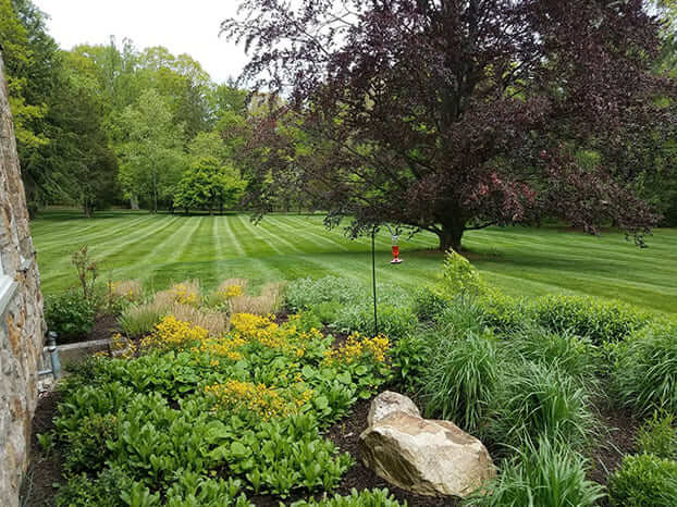 Landscaping Company in Chester County, PA