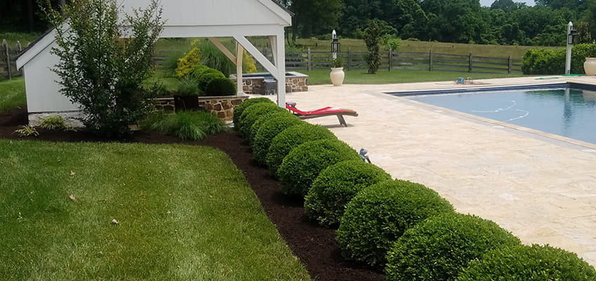 Commercial and Residential Landscape Maintenance in Coatesville, PA