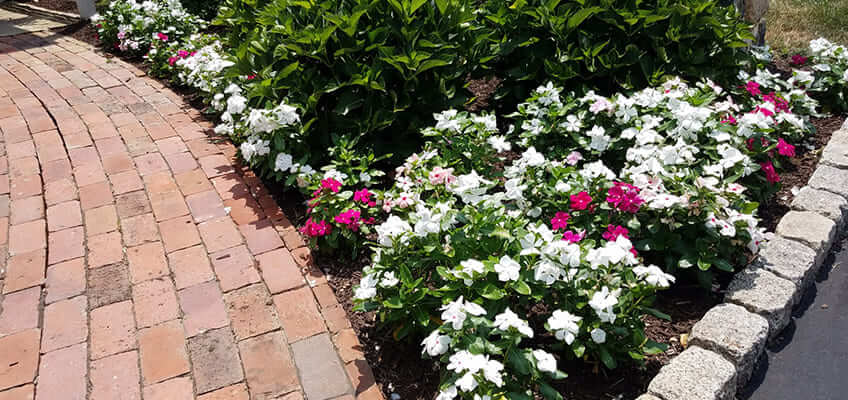 Commercial and Residential Landscape Maintenance in Paoli, PA