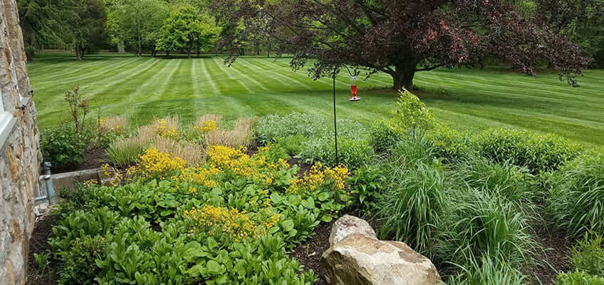 Commercial and Residential Landscape Maintenance Services in Chesterbrook PA