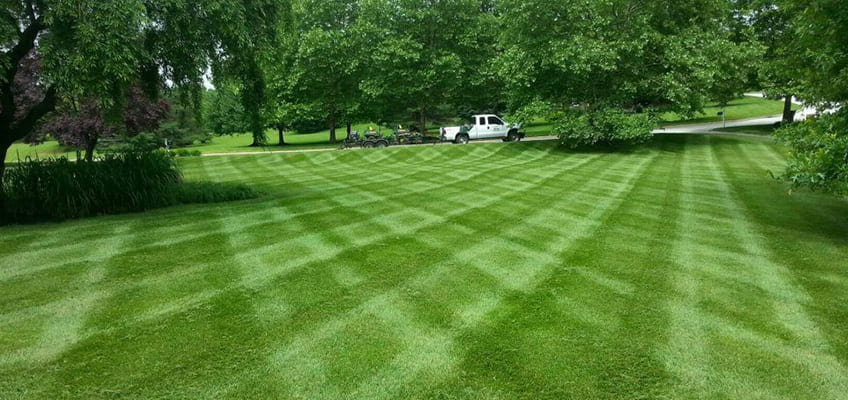 Commercial and Residential Lawn Maintenance Services in Chesterbrook PA