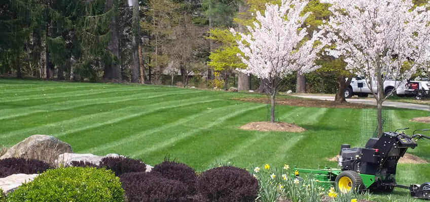 Commercial and Residential Lawn Maintenance in Frazer PA