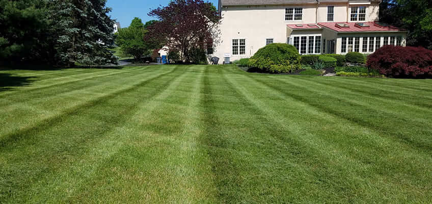 Commercial and Residential Lawn Maintenance in Lionville, PA