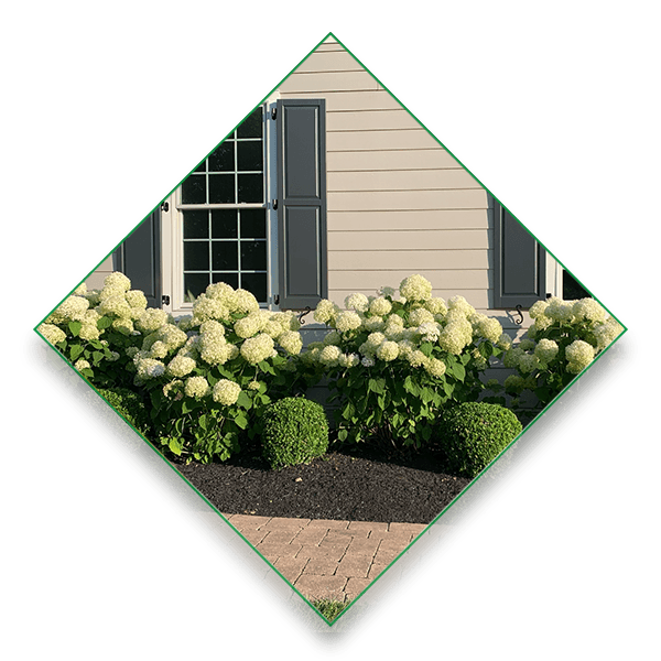 Landscape Enhancements