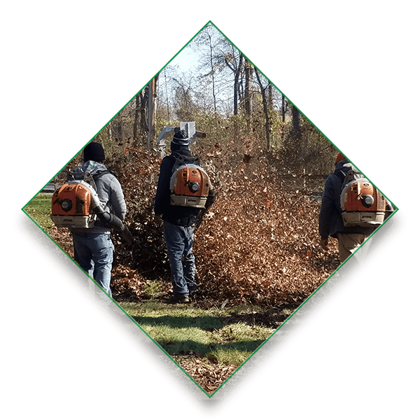 Expert Landscape Maintenance Service in Malvern, PA