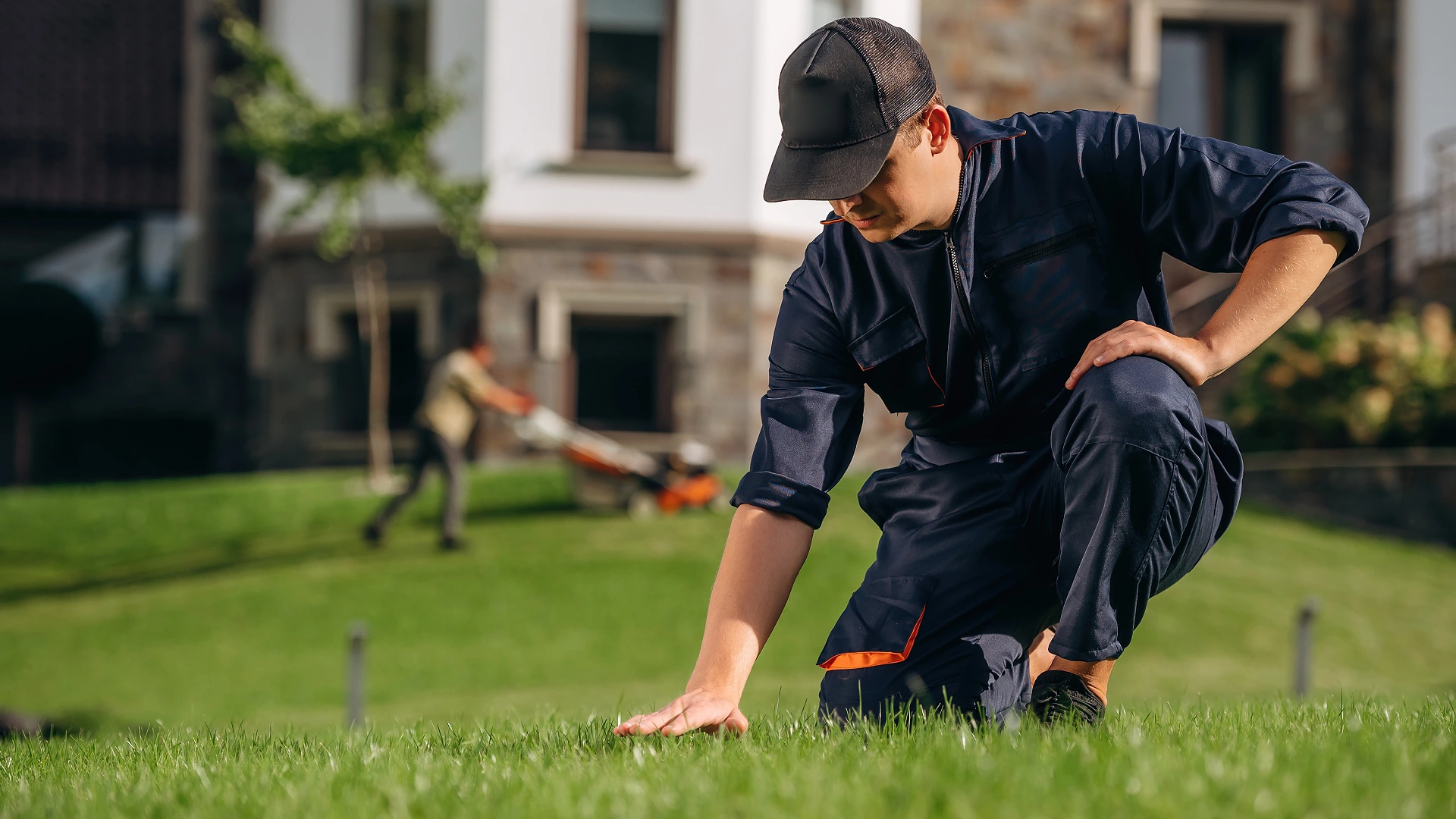 quality landscaping service in williams corner pa