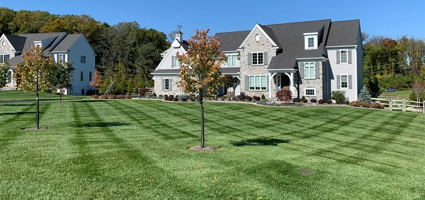 landscaping experts in sugartown