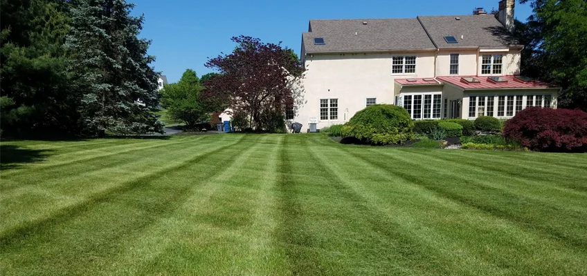 landscaping services in devon pa