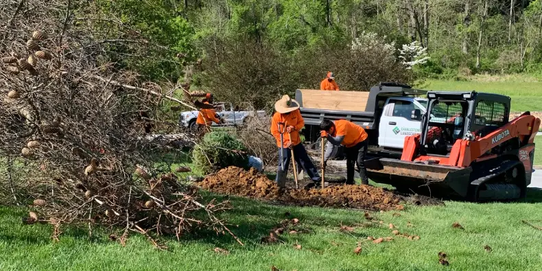 leaf removal before winter malvern pa