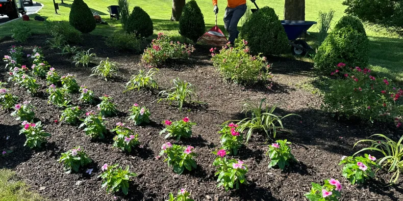 protect your lawn before the frost