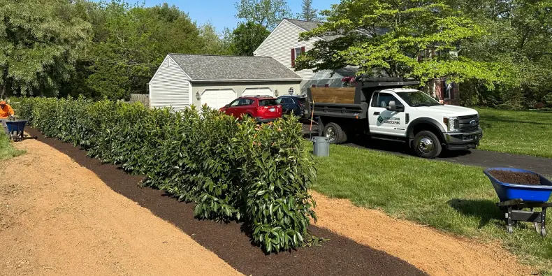 Seasonal lawn care plan showing fertilizing, weed control, and seeding stages throughout the year