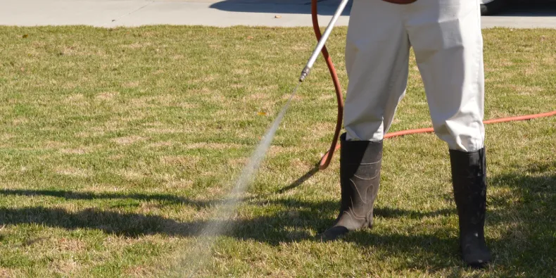 apply weed killer and fertilizer