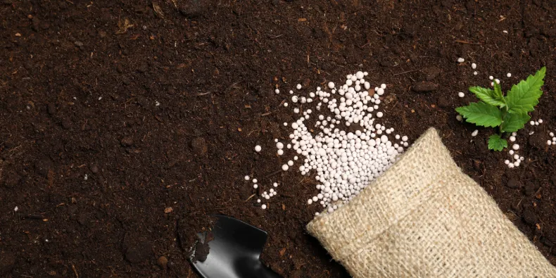 fertilize after applying weed killer