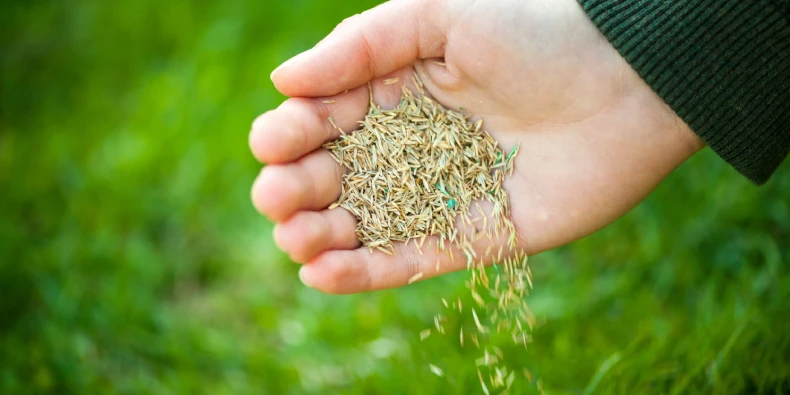 plant grass seed in pennsylvania