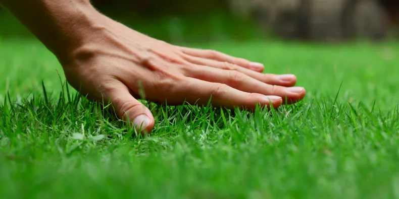 too late to plant grass in the fall