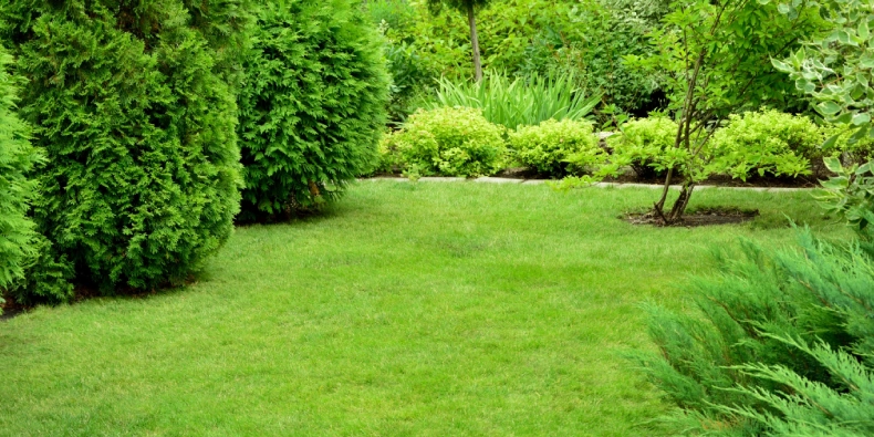 common tree shrub diseases pennsylvania