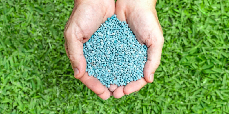 lawn fertilization and weed control in chester county pa